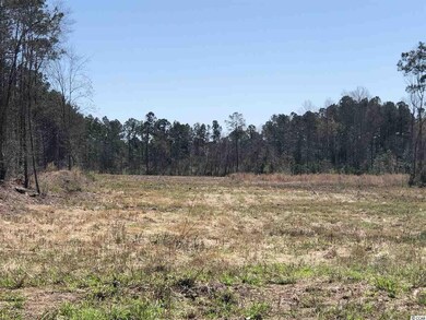 TBD Jt Barfield Rd unit 13.7 acres, Conway, SC 29527 - photo 6
