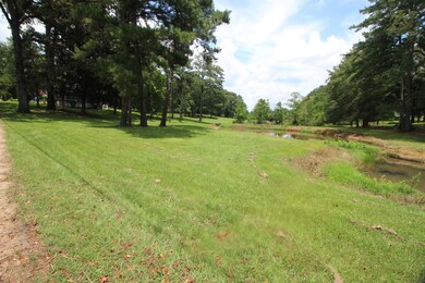 237 Crepe Myrtle Ln, Laurel, MS 39443 - photo 3