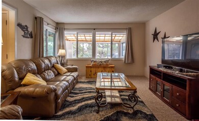 410 SW 8th Ave, Cedaredge, CO 81413 - photo 4