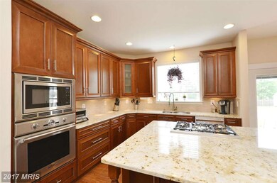 22147 Winter Lake Ct, Ashburn, VA 20148 - photo 5