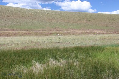 The green, sub-irrigated area below the ditch.  Th