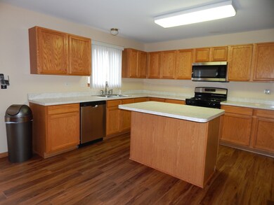 7603 Locust Ln, Plainfield, IL 60586 - photo 7