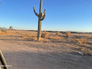 829 E Salazar Rd, Eloy, AZ 85131 - photo 4