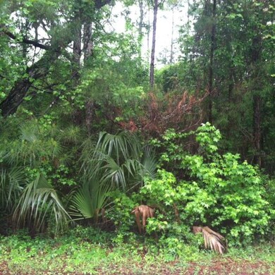 0 Hunters Trace unit 24A 256279, Crawfordville, FL 32327 - photo 4