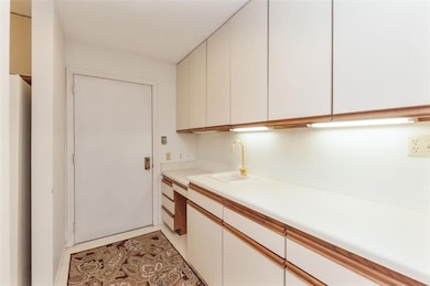 Wet Bar and additional kitchen cabinets