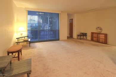 4425 E 18th St, Tucson, AZ 85711 - photo 6