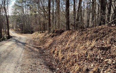 L2458 Montage Dr, Ellijay, GA 30540 - photo 5