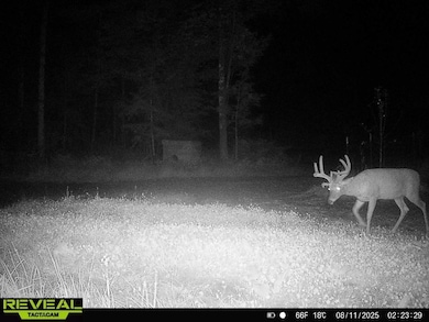 Off Grass Creek Ln, Athens, WI 54411 - photo 5