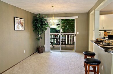 5103 Picnic Point Rd, Edmonds, WA 98026 - photo 7