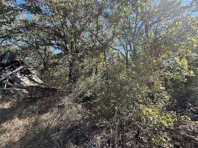 View of local wilderness