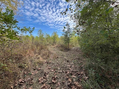 00 E 200 Rd, Sullivan, IN 47882 - photo 2