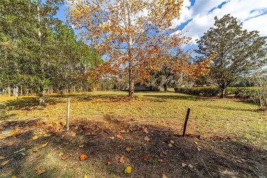 17053 NE 148th Terrace Rd, Fort Mc Coy, FL 32134 - photo 7