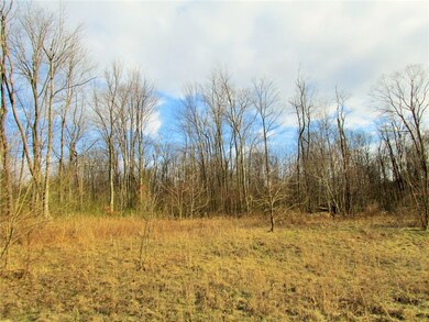 Mostly wooded....just a little cleared near the ro