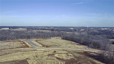 14502 Stringtown Cir, Lake Lotawana, MO 64086 - photo 3