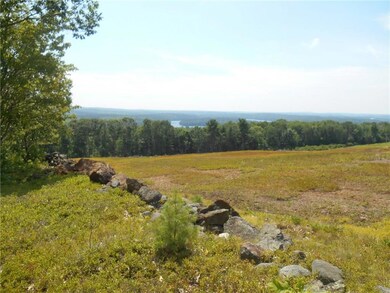 Reclaim the blueberry fields