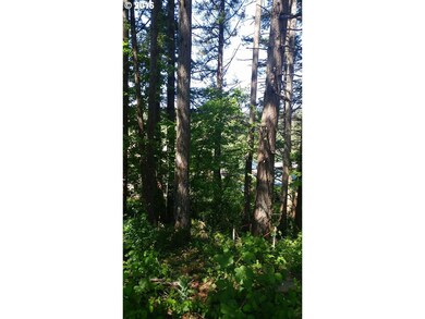 0 Skamania Landing Rd unit 9 16353891, Skamania, WA 98648 - photo 7