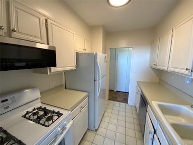 North Shore Towers unit 16S, Floral Park, NY 11005 - photo 7