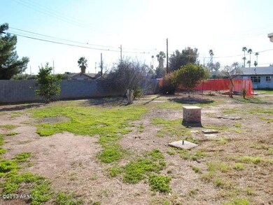 back yard (3)