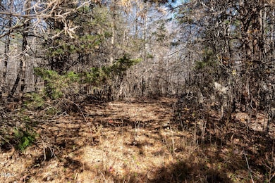 5417 Turner Smith Rd, Browns Summit, NC 27214 - photo 4