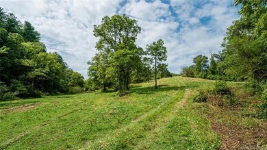 000 Turkey Creek Rd, Leicester, NC 28748 - photo 3