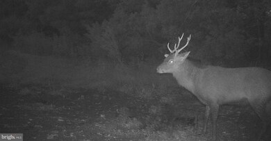 2257 Wingate Bishops Head Rd, Wingate, MD 21675 - photo 4