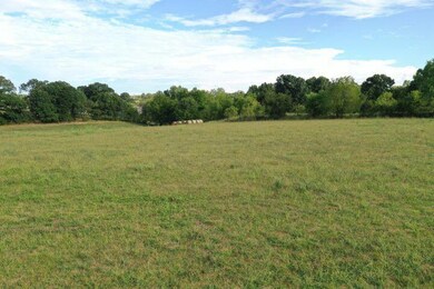0000 Tract 2 Farm Road 1170, Aurora, MO 65605 - photo 3