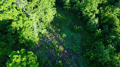 Tbd Sandy Rd, Cross Timbers Township, MO 65326 - photo 6