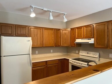106 Park St unit 10, Bennington, VT 05201 - photo 5