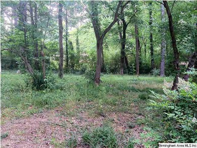 Large, fenced back yard.