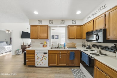 8005 Atmore Way, Powell, TN 37849 - photo 7