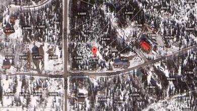 Satellite Map View