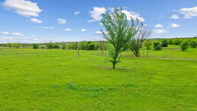 1042 Dominique Dr, Weatherford, TX 76087 - photo 6