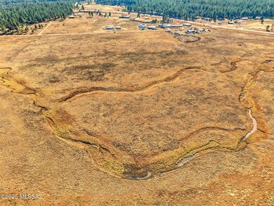 Lot 23 the Ranch at Alpine unit 23, Alpine, AZ 85920 - photo 6