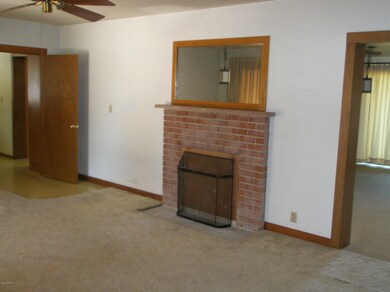 Living Room Fireplace