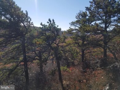 17 Kile Knob, Franklin, WV 26807 - photo 5