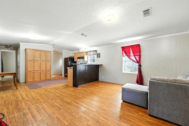 300 E Carter St, Hastings, FL 32145 - photo 5