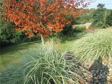 Lower level of terraced yard