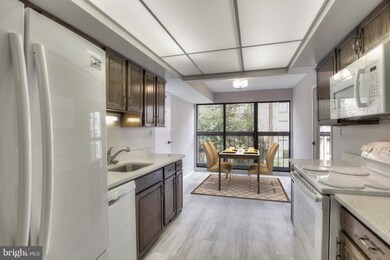 Treebrooke unit 203, Oakton, VA 22124 - photo 4