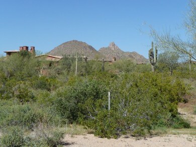 View to Pinnacle Peak
