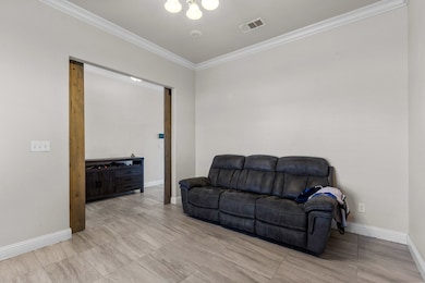 9316 Bee Balm Ave, Odessa, TX 79765 - photo 5