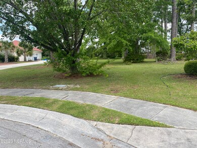 319 Ramona, Jacksonville, NC 28540 - photo 4