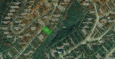 Lot 14 Cochise Dr, Holiday Island, AR 72631 - photo 2