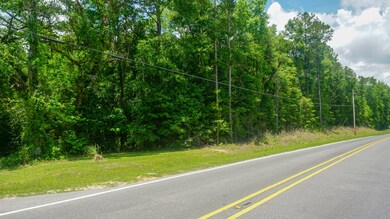 4.71 Ac Ward Pineview Rd, Lucedale, MS 39452 - photo 5