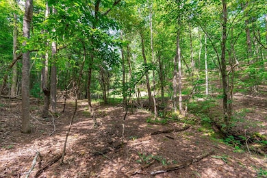 LOT 22 Meadow Brook Trail, Morganton, GA 30560 - photo 5