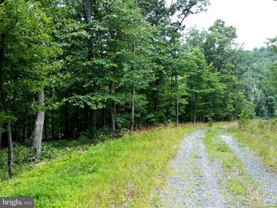 0 Appalachian Trail Rd, Blue Ridge, VA - photo 4
