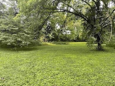 View of green lawn with a wooded view