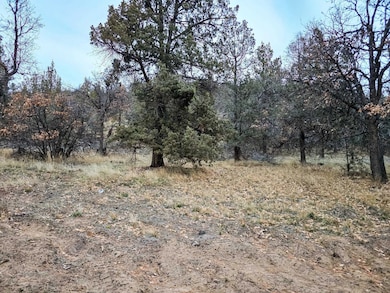 0 Log House Rd, MacDoel, CA 96058 - photo 3