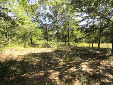 1038 Valley Rd, Crestview, FL 32539 - photo 5