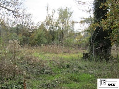 000 State Route 585, Alto, LA 71269 - photo 4