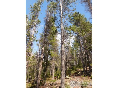 0 Elk Horn Trail unit 770264, Bellvue, CO 80512 - photo 4